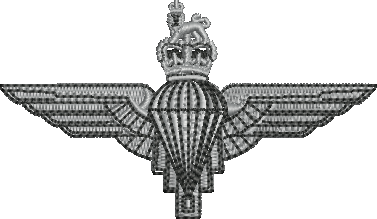 Parachute regiment T-Shirt white