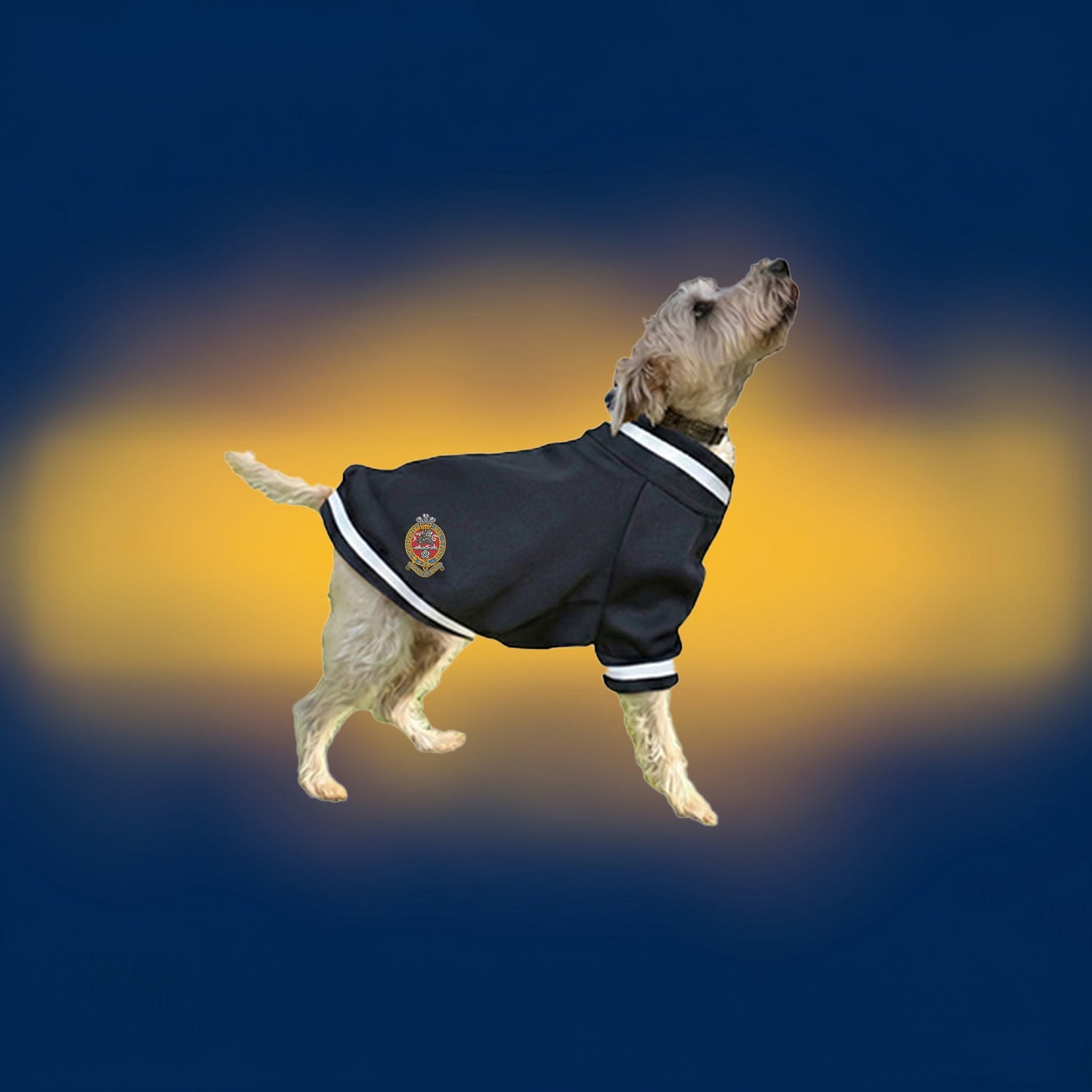 SHOP THE PRINCESS OF WALES'S ROYAL REGIMENT(PWRR) GIFTS & ACCESSORIES