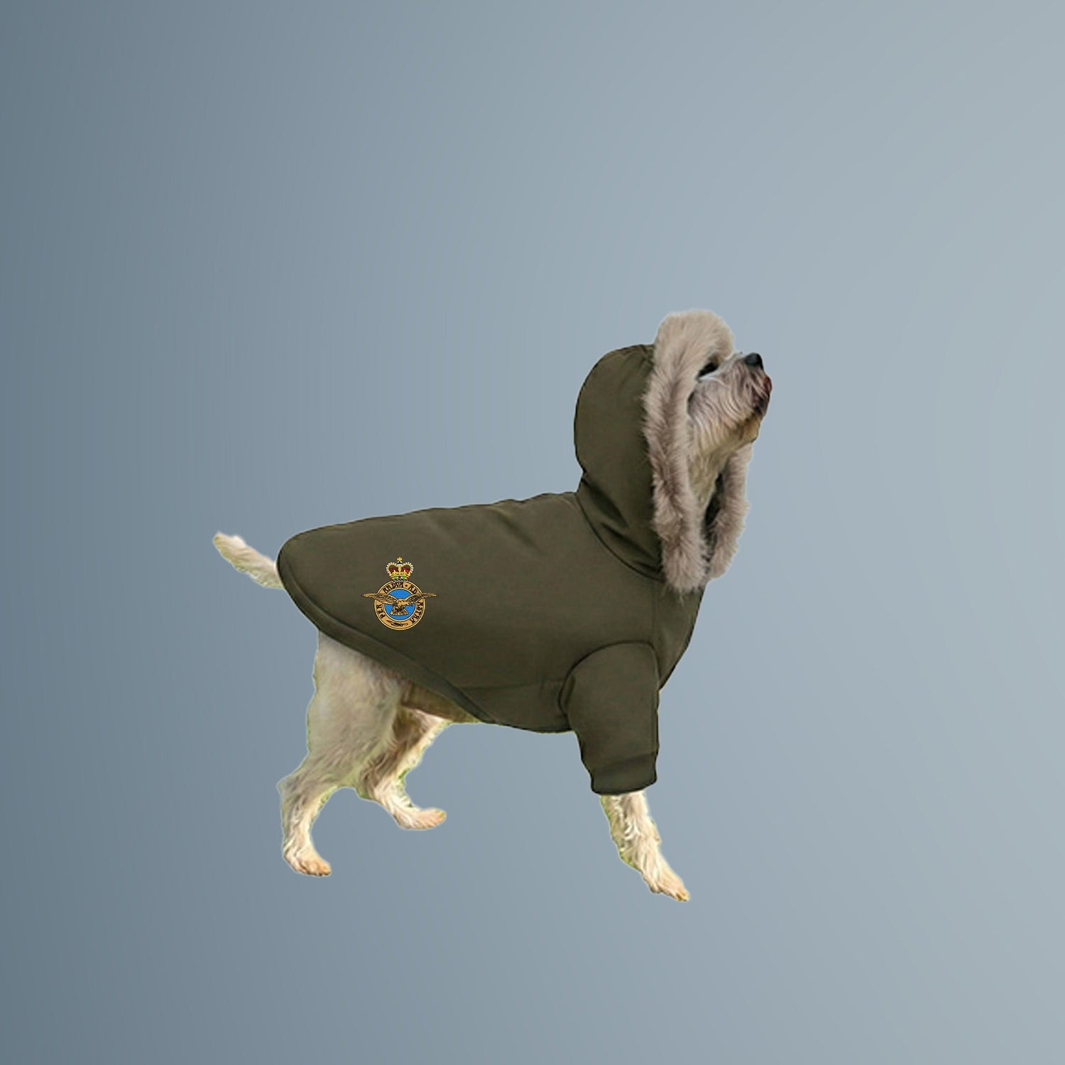 SHOP ROYAL AIR FORCE GIFTS & ACCESSORIES