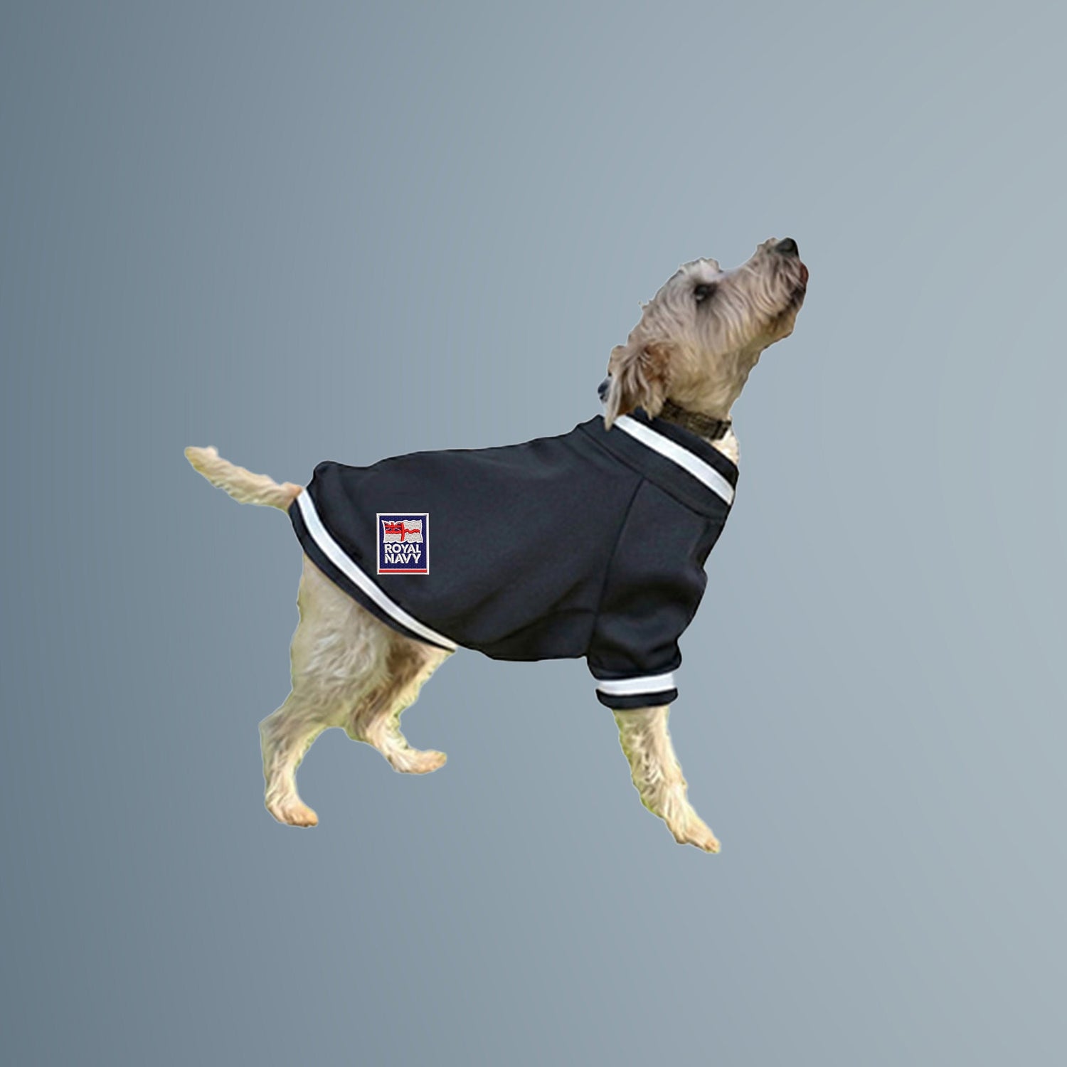 SHOP ROYAL NAVY GIFTS & ACCESSORIES