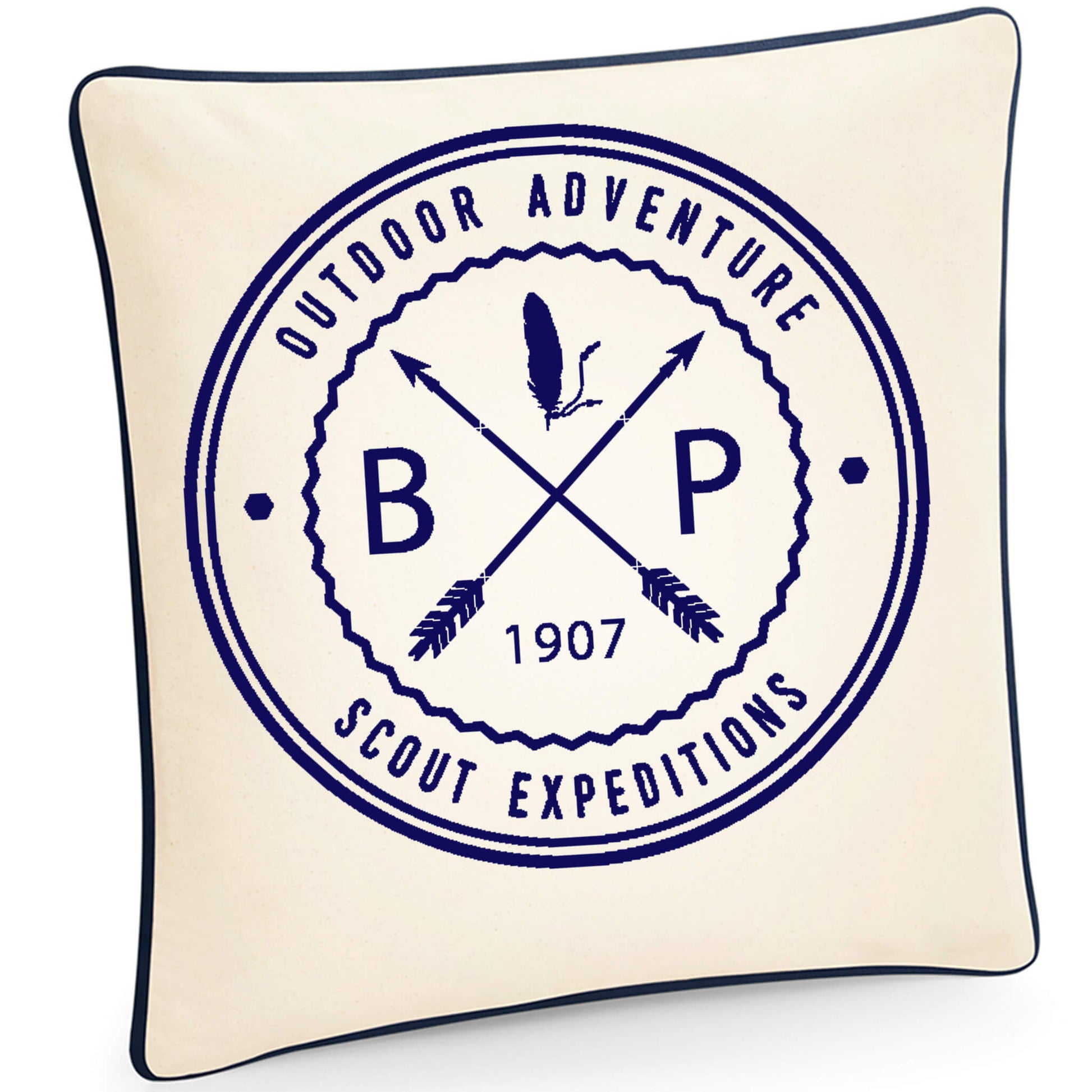 BP 1907 graphic print cushion