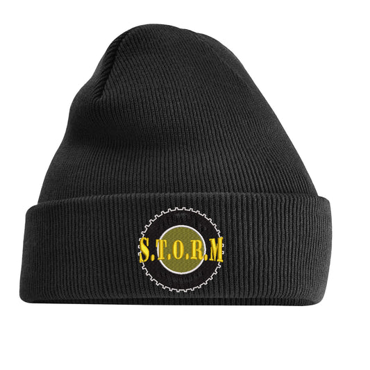 STORM EMBROIDERED BEANIE